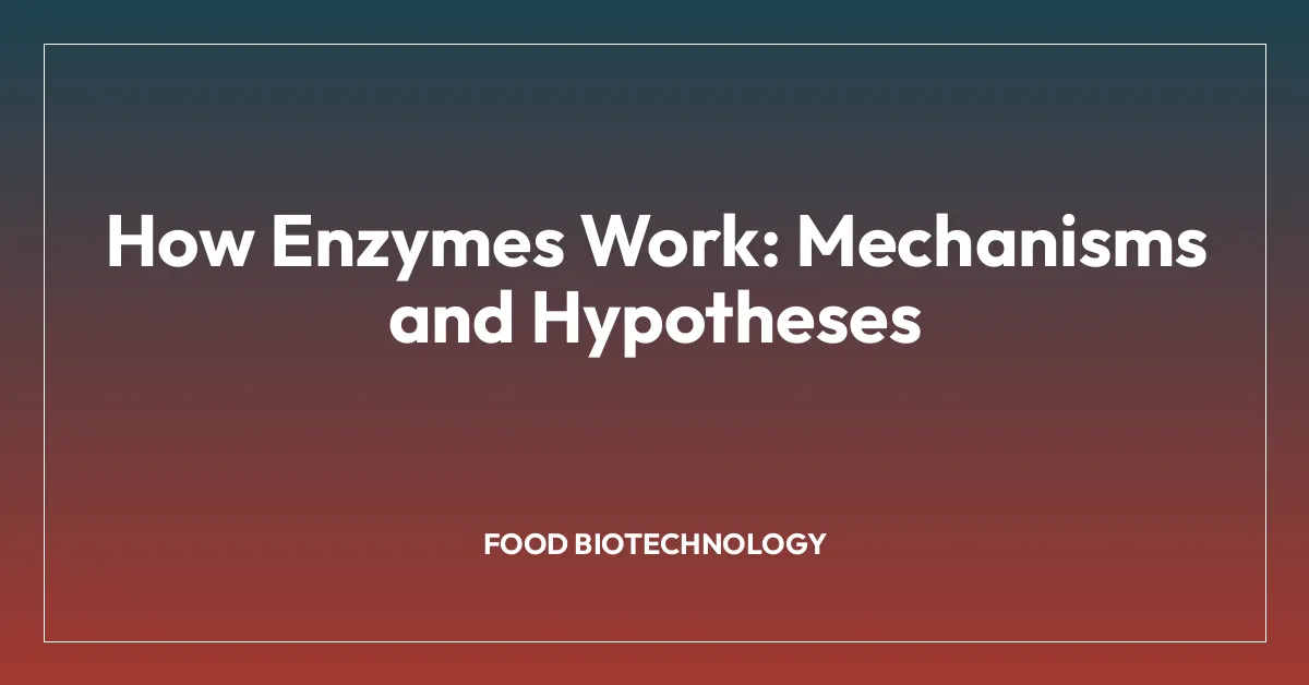 How Enzymes Work: Mechanisms and Hypotheses