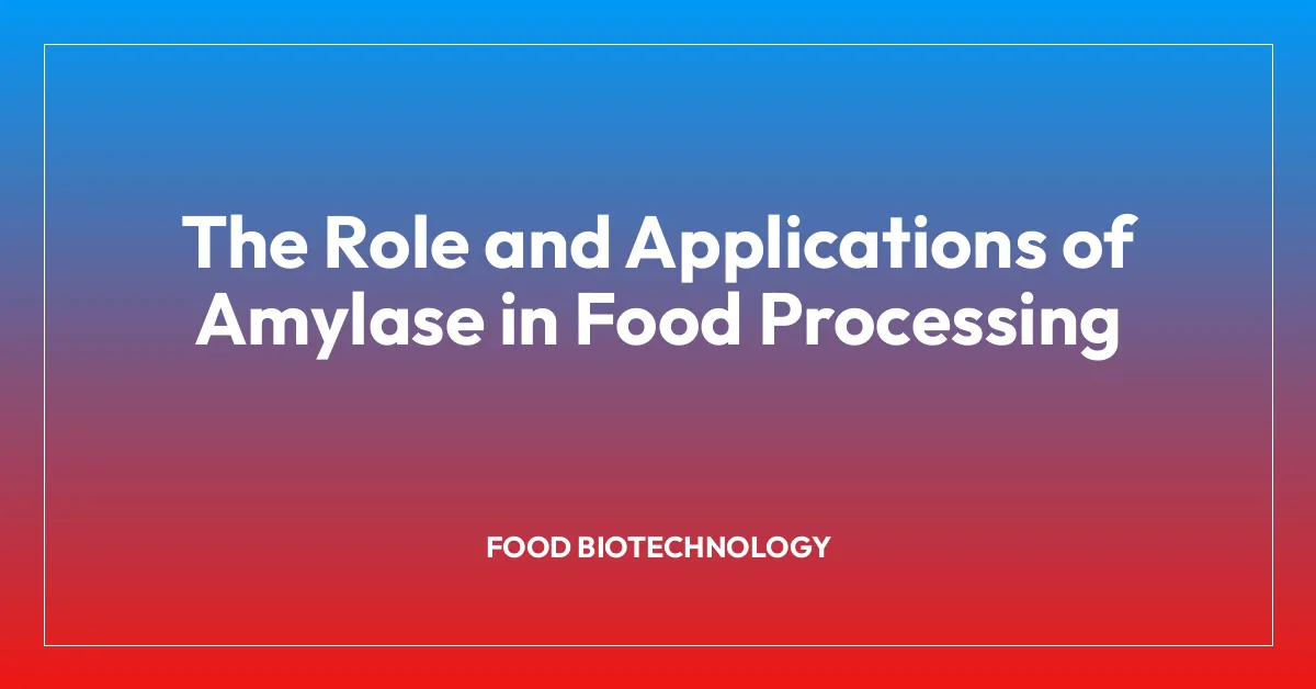 The Role and Applications of Amylase in Food Processing